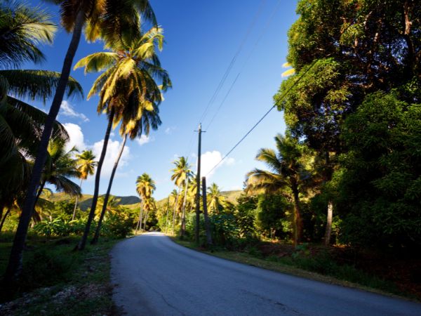 Top Must-Visit Nature Reserves in Antigua for Nature Lovers